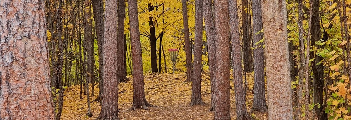 Tirsdagsgolf